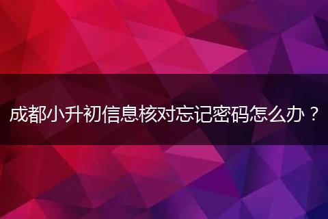 成都小升初信息核对忘记密码怎么办？