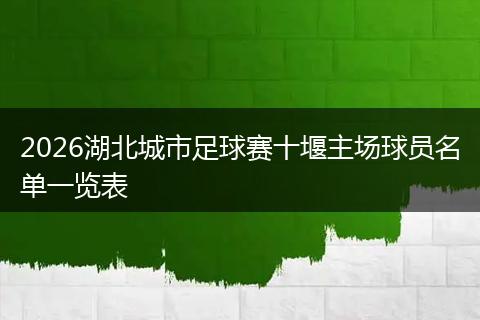 2026湖北城市足球赛十堰主场球员名单一览表