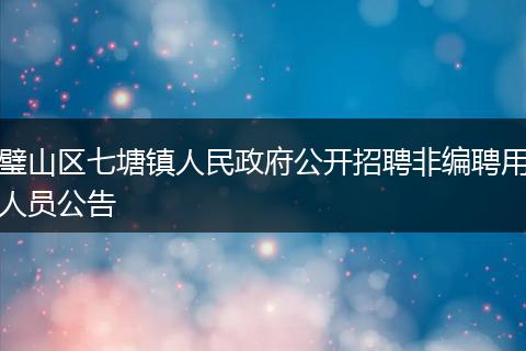 璧山区七塘镇人民政府公开招聘非编聘用人员公告
