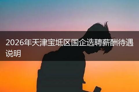 2026年天津宝坻区国企选聘薪酬待遇说明