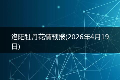 洛阳牡丹花情预报(2026年4月19日)