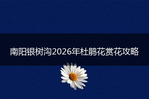 南阳银树沟2026年杜鹃花赏花攻略