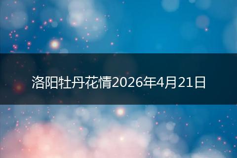 洛阳牡丹花情2026年4月21日