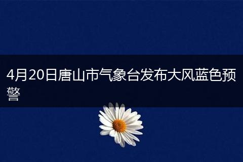 4月20日唐山市气象台发布大风蓝色预警