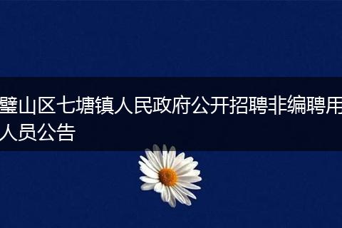 璧山区七塘镇人民政府公开招聘非编聘用人员公告