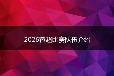 2026蓉超比赛队伍介绍