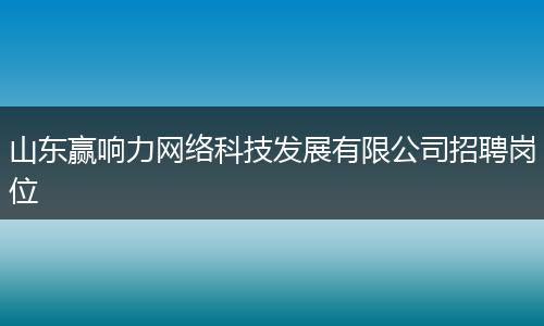 山东赢响力网络科技发展有限公司招聘岗位