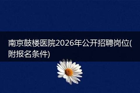 南京鼓楼医院2026年公开招聘岗位(附报名条件)