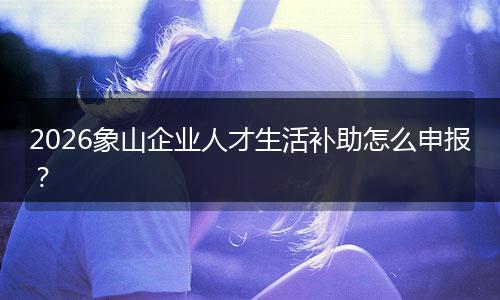 2026象山企业人才生活补助怎么申报？