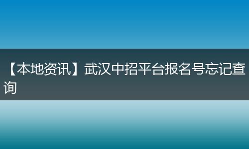 【本地资讯】武汉中招平台报名号忘记查询