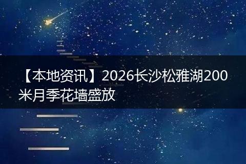 【本地资讯】2026长沙松雅湖200米月季花墙盛放