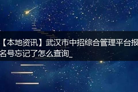 【本地资讯】武汉市中招综合管理平台报名号忘记了怎么查询_