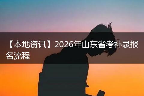 【本地资讯】2026年山东省考补录报名流程