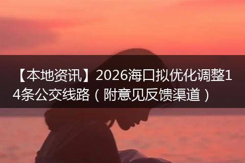 【本地资讯】2026海口拟优化调整14条公交线路（附意见反馈渠道）