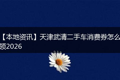 【本地资讯】天津武清二手车消费券怎么领2026