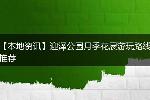 【本地资讯】迎泽公园月季花展游玩路线推荐