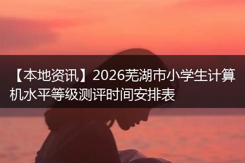 【本地资讯】2026芜湖市小学生计算机水平等级测评时间安排表
