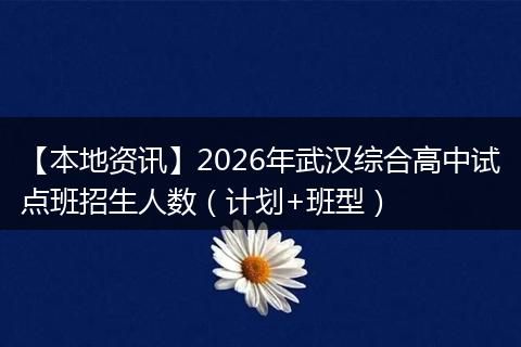 【本地资讯】2026年武汉综合高中试点班招生人数（计划+班型）
