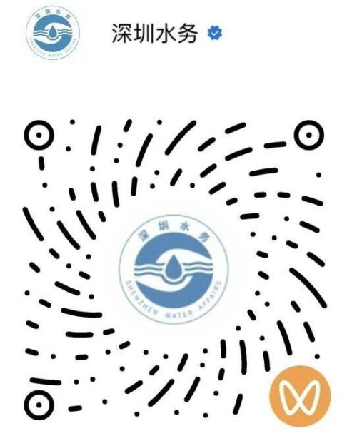 【本地资讯】2026宝安茅洲河龙舟赛直播在哪看