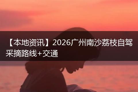 【本地资讯】2026广州南沙荔枝自驾采摘路线+交通
